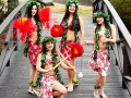 Hula_Implements